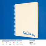MAXI SPIRALATO A4 SPIL SPILBLOK4BIG PASTEL 144FF 5MM - immagine 2